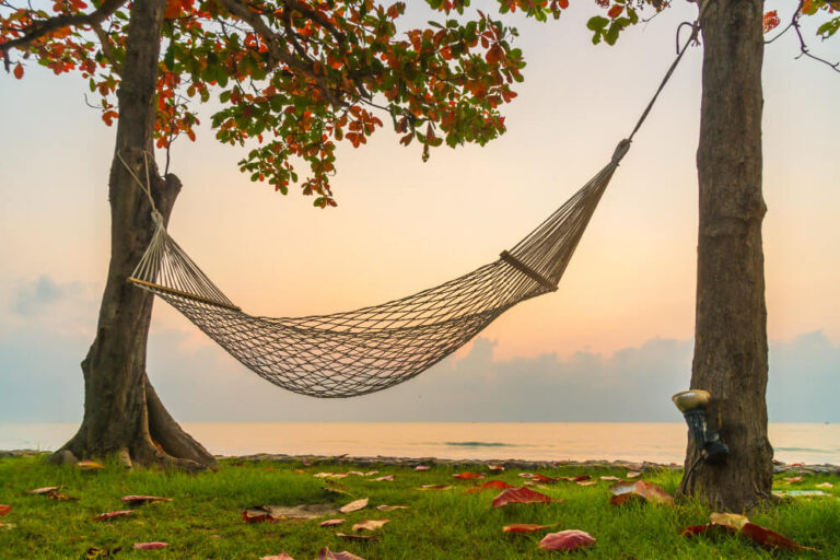 Different Types of Camping Hammocks